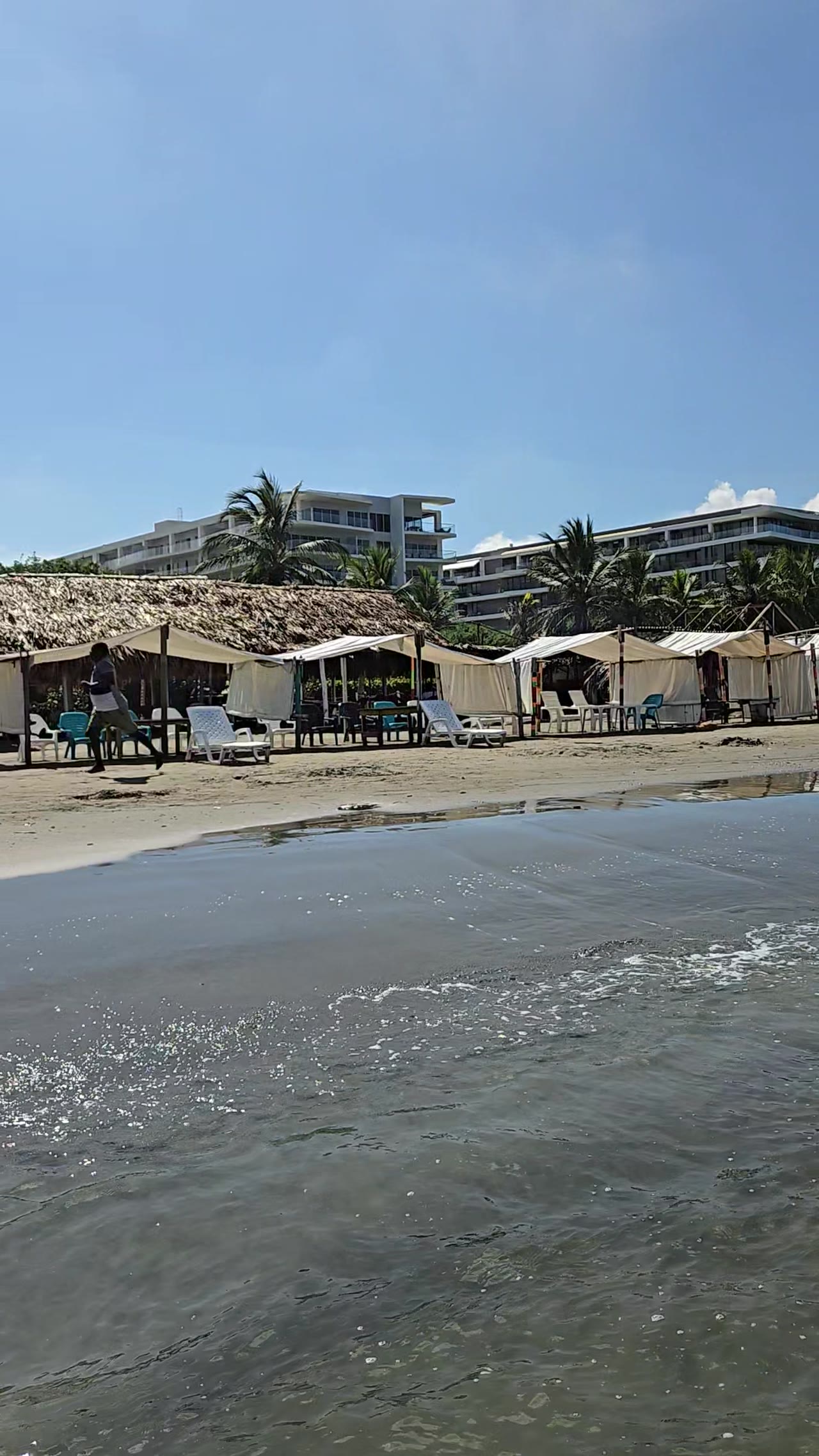 Beach tents with loungers at Playa Muralla, apartment buildings behind the palms